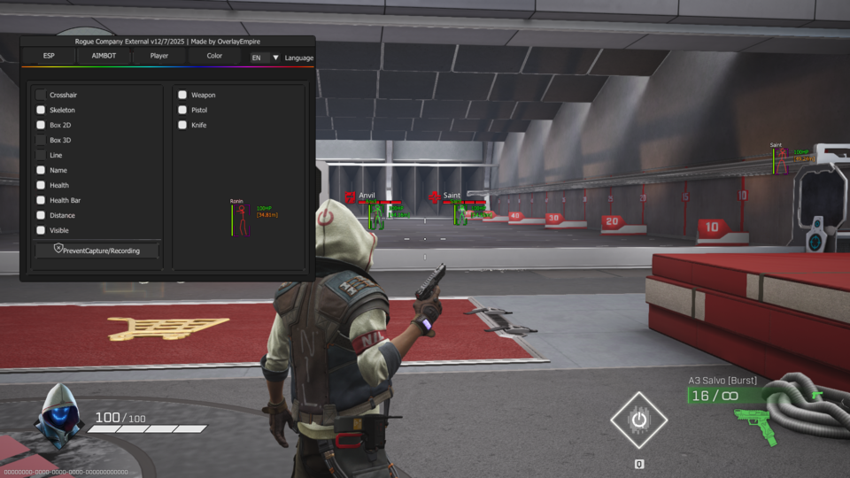RogueCompany (External) – While playing